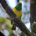 Photo taken by Victoria E