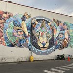 Photo taken by Chris G