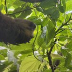 Photo taken by Chris H