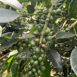 Photo taken by Weston L