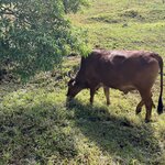 Photo taken by Joyce C