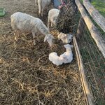 Photo taken by Mary H