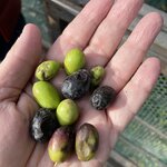 Photo taken by Graciela P