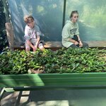 Photo taken by Alexia M