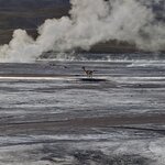 Photo taken by Carmen P