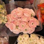 Photo taken by Anne W