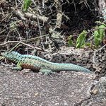 Photo taken by Jennifer A