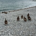 Photo taken by Eliza M