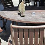 Photo taken by Joel S