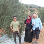 Stopped to help this family harvest olives and of course were invited for tea | Photo taken by fern k