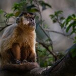 Photo taken by Matt W