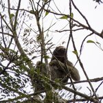 Photo taken by Wilbert A