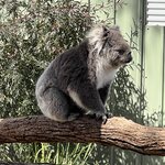 Photo taken by Rosemary S