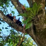 Photo taken by Garritt V