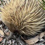 Photo taken by Rosemary S