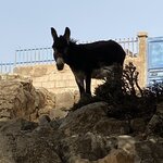 Photo taken by Leanne R