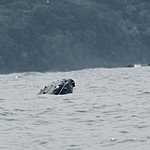 Photo taken by Andy H