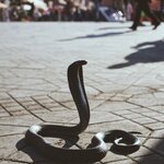 Photo taken by Adrien C