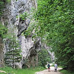 Photo taken by Trevor W