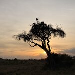 Photo taken by Gabrielle A