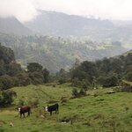 Photo taken by Miranda M