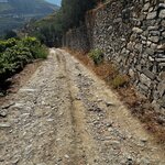 Photo taken by Shelley H