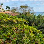 Photo taken by Garritt V