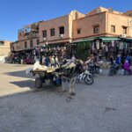 Photo taken by Nicole P