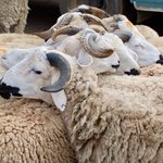 Photo taken by Margi S