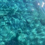 Photo taken by Braedon G