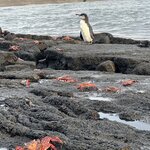 Photo taken by Mark A