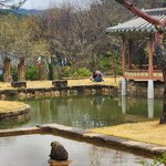 Photo taken by Mark C