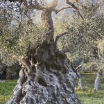 Photo taken by Marilyn H