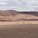 Photo taken by Lisa K