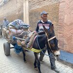 Photo taken by Paula F