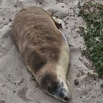 Photo taken by Dan J