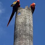 Photo taken by Kim L