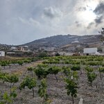 Photo taken by Elin T