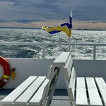 Photo taken by Sharon B