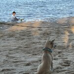 Photo taken by Nicoline v