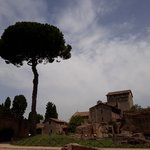 Photo taken by Mick R