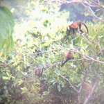 Photo taken by Anna L