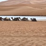 Photo taken by Gaia B