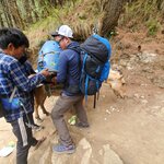 Photo taken by Gavin T