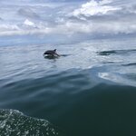 Photo taken by Anna L