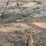 Photo taken by Thomas L