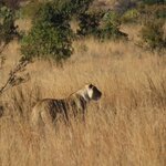 Photo taken by Ingenie D