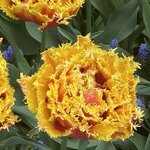 Photo taken by Marie D