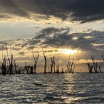 Photo taken by Gabrielle A