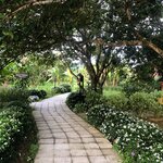 Photo taken by Sissy L